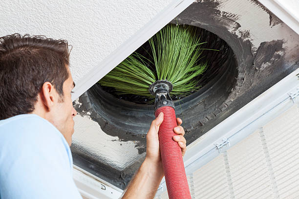 Best Local Air Duct Cleaning Services  in Immokalee, FL